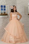Detalj av kroppen, Tulle Fluffy Girl's Evening Dress 602 Salmon