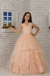 Embroidered Appliques, V-Neck, Tulle Fluffy Girl's Evening Dress 606 Salmon