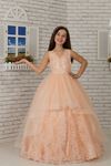 Broderte appliques, V-hals, Tulle Fluffy Girl's Evening Dress 606 Salmon