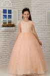 Fluffy Girl's Evening Dress 603 Salmon with shoulder feather detail, appliqué, silvery tulle